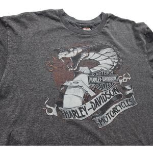 Harley Davidson T Shirt Mens XL Graphic Scottsdale Arizona Dragon Tee Biker Moto